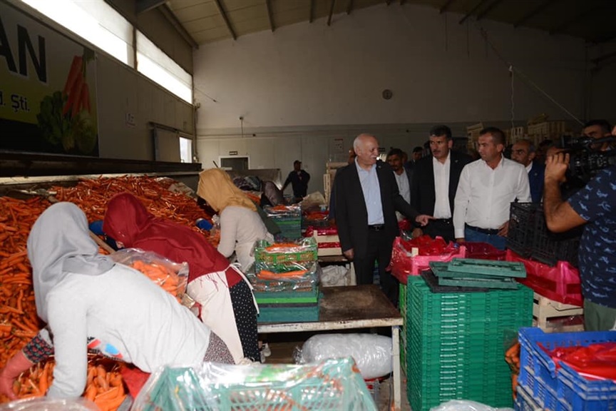 Genel Başkanımız Sayın Şemsi Bayraktar, Beypazarı’nda havuç yıkama, paketleme tesisini gezdi.